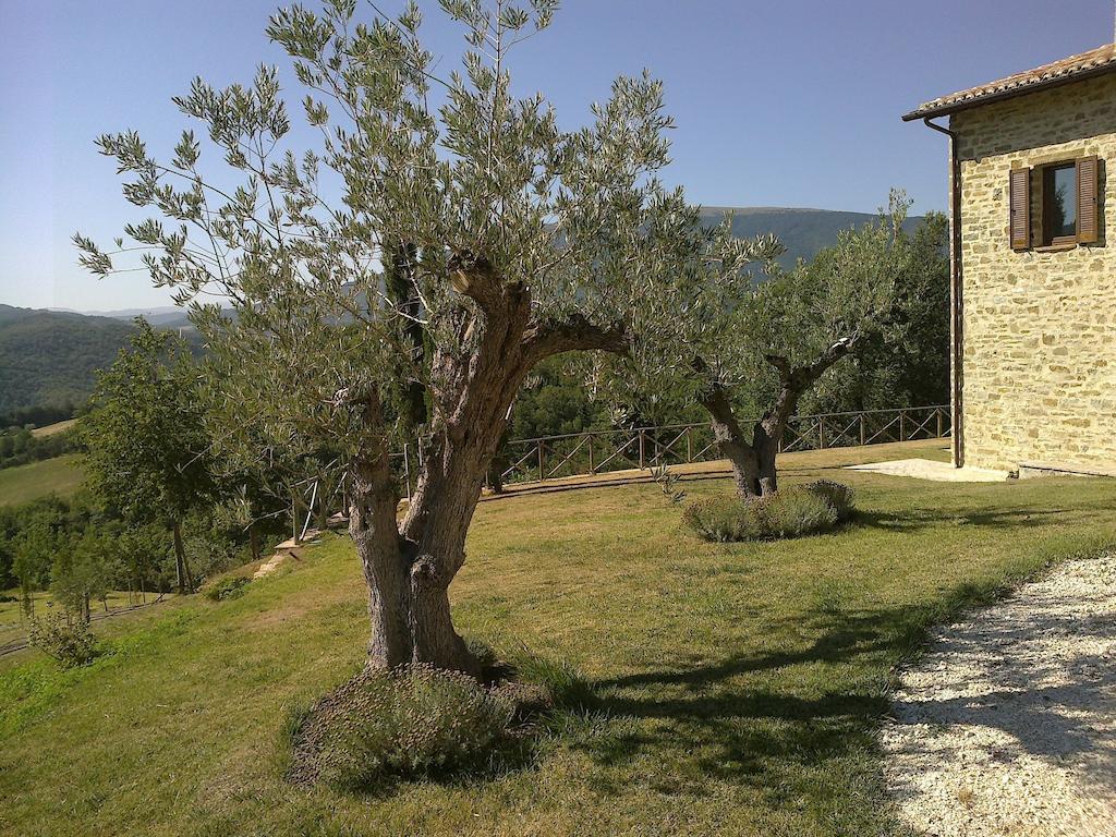 Agriturismo Paradiso 44 Assisi Buitenkant foto