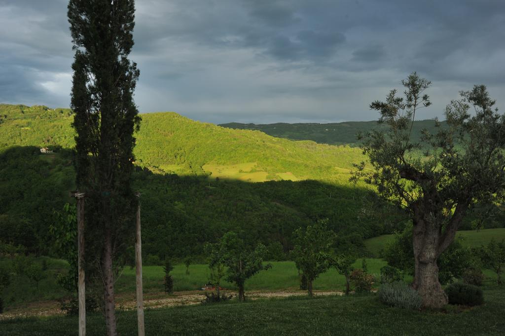 Agriturismo Paradiso 44 Assisi Buitenkant foto