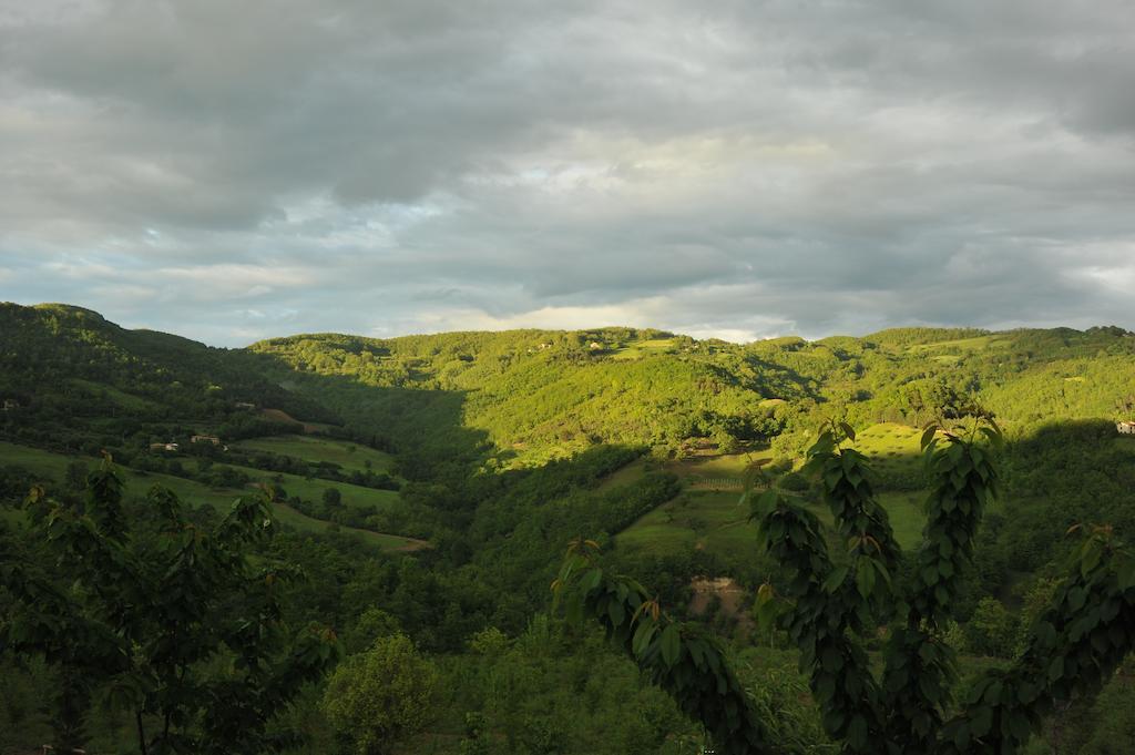Agriturismo Paradiso 44 Assisi Buitenkant foto