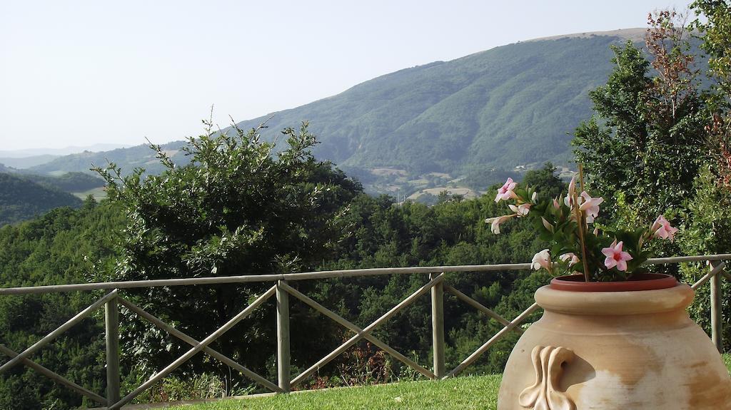 Agriturismo Paradiso 44 Assisi Buitenkant foto