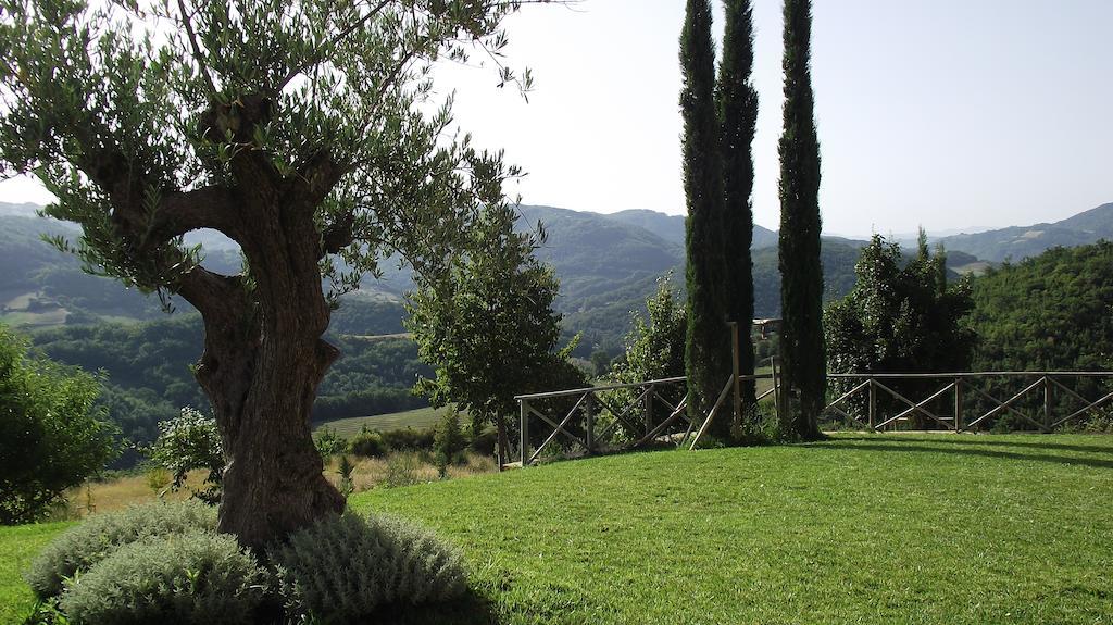 Agriturismo Paradiso 44 Assisi Buitenkant foto