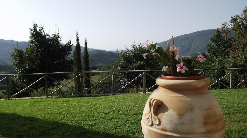Agriturismo Paradiso 44 Assisi Buitenkant foto