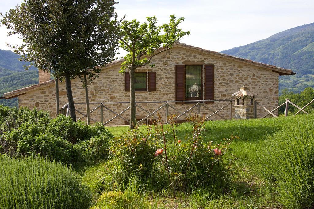 Agriturismo Paradiso 44 Assisi Buitenkant foto