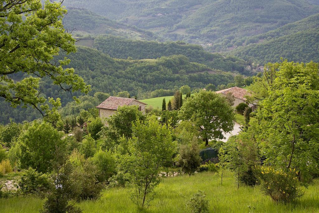 Agriturismo Paradiso 44 Assisi Buitenkant foto