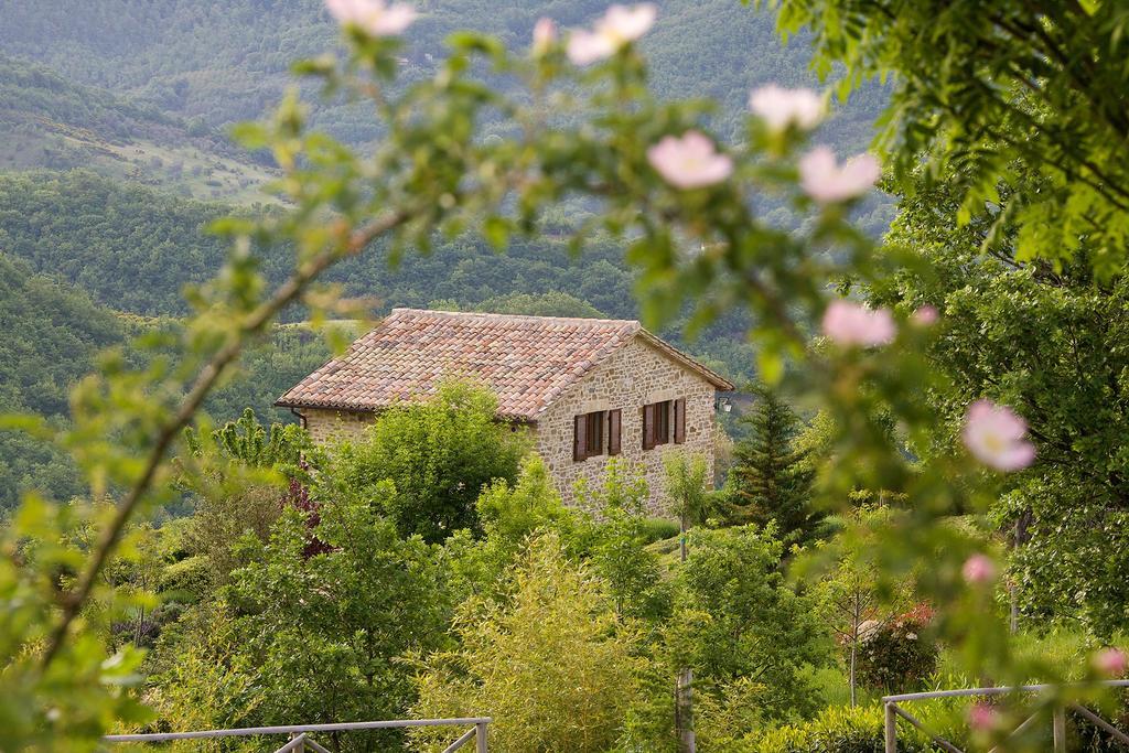 Agriturismo Paradiso 44 Assisi Buitenkant foto
