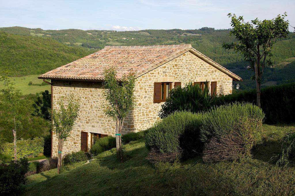 Agriturismo Paradiso 44 Assisi Buitenkant foto